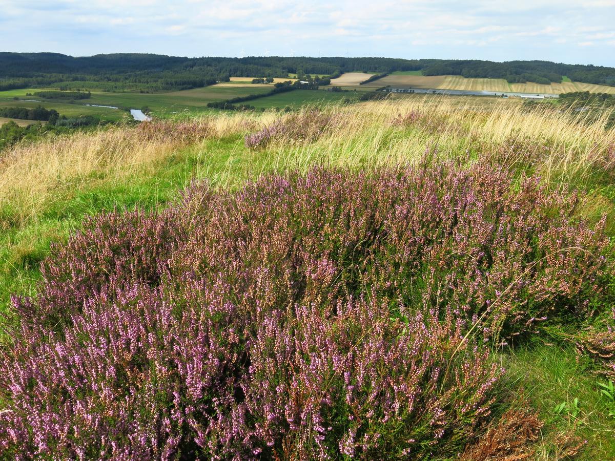 Bed + / - Breakfast I Bjerringbro Bed and Breakfast Buitenkant foto